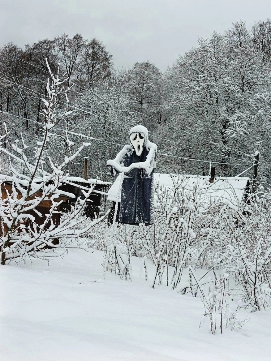 C Новым годом.jpg